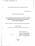 Плешакова, Марина Владимировна. Организационно-экономические аспекты развития рыночной инфраструктуры и ее элементов в переходной экономике: дис. кандидат экономических наук: 08.00.05 - Экономика и управление народным хозяйством: теория управления экономическими системами; макроэкономика; экономика, организация и управление предприятиями, отраслями, комплексами; управление инновациями; региональная экономика; логистика; экономика труда. Волгоград. 2000. 159 с.