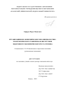 Гафаров Марат Ринатович. Организационно-экономические механизмы научно-технологического развития как инструмент эндогенного экономического роста региона: дис. доктор наук: 00.00.00 - Другие cпециальности. ФГАОУ ВО «Казанский (Приволжский) федеральный университет». 2024. 405 с.