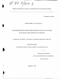 Прыгунова, Ольга Ивановна. Организационно-экономический механизм адаптации в системе социального партнерства: дис. кандидат экономических наук: 08.00.05 - Экономика и управление народным хозяйством: теория управления экономическими системами; макроэкономика; экономика, организация и управление предприятиями, отраслями, комплексами; управление инновациями; региональная экономика; логистика; экономика труда. Черкесск. 1998. 196 с.