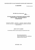 Исаева, Ольга Витальевна. Организационно-экономический механизм контроллинга промышленного предприятия: дис. кандидат экономических наук: 08.00.05 - Экономика и управление народным хозяйством: теория управления экономическими системами; макроэкономика; экономика, организация и управление предприятиями, отраслями, комплексами; управление инновациями; региональная экономика; логистика; экономика труда. Воронеж. 2006. 217 с.