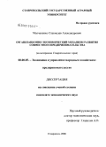 Молчаненко, Станислав Александрович. Организационно-экономический механизм развития совместного предпринимательства: на материалах Ставропольского края: дис. кандидат экономических наук: 08.00.05 - Экономика и управление народным хозяйством: теория управления экономическими системами; макроэкономика; экономика, организация и управление предприятиями, отраслями, комплексами; управление инновациями; региональная экономика; логистика; экономика труда. Ставрополь. 2008. 182 с.