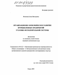 Моисеева, Елена Викторовна. Организационно-экономическое развитие промышленных предприятий уголовно-исполнительной системы: дис. кандидат экономических наук: 05.02.22 - Организация производства (по отраслям). Рязань. 2004. 159 с.