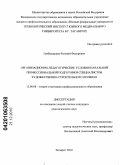 Гребенщиков, Евгений Федорович. Организационно-педагогические условия начальной профессиональной подготовки специалистов художественно-строительного профиля: дис. кандидат педагогических наук: 13.00.08 - Теория и методика профессионального образования. Таганрог. 2010. 176 с.