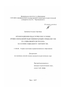 Еремеева, Татьяна Сергеевна. Организационно-педагогические условия профессиональной подготовки будущих специалистов по социальной работе в вузе на основе социального партнерства: дис. кандидат педагогических наук: 13.00.08 - Теория и методика профессионального образования. Чита. 2007. 216 с.