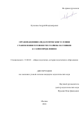 Лученков Андрей Владимирович. Организационно-педагогические условия становления готовности старшекласников к самоопределению: дис. кандидат наук: 13.00.01 - Общая педагогика, история педагогики и образования. ФГБОУ ВО «Российский государственный педагогический университет им. А.И. Герцена». 2018. 176 с.