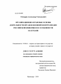 Егизаров, Александр Геннадьевич. Организационно-правовые основы деятельности органов военной контрразведки Российской империи и ее особенности на Кубани: дис. кандидат юридических наук: 12.00.01 - Теория и история права и государства; история учений о праве и государстве. Краснодар. 2010. 199 с.