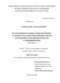 Трачук, Амаяк Александрович. Организационно-правовые основы исполнения уголовного наказания в виде лишения свободы в отношении несовершеннолетних лиц в довоенный период: 1917-1941 гг.: дис. кандидат юридических наук: 12.00.01 - Теория и история права и государства; история учений о праве и государстве. Ростов-на-Дону. 2009. 306 с.