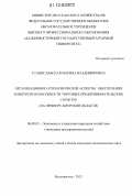 Станиславская, Марина Владимировна. Организационно-управленческие аспекты обеспечения конкурентоспособности торговых предпринимательских структур: на примере Амурской области: дис. кандидат экономических наук: 08.00.05 - Экономика и управление народным хозяйством: теория управления экономическими системами; макроэкономика; экономика, организация и управление предприятиями, отраслями, комплексами; управление инновациями; региональная экономика; логистика; экономика труда. Владивосток. 2012. 180 с.