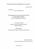 Тиньков, Сергей Викторович. Организационно-управленческий механизм становления и развития малого предпринимательства: дис. кандидат экономических наук: 08.00.05 - Экономика и управление народным хозяйством: теория управления экономическими системами; макроэкономика; экономика, организация и управление предприятиями, отраслями, комплексами; управление инновациями; региональная экономика; логистика; экономика труда. Москва. 2008. 209 с.