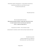 Васильев, Дмитрий Валентинович. Организация административного управления в Казахской степи: государственная политика и региональные практики: XVIII - первая половина XIX в.: дис. кандидат наук: 07.00.02 - Отечественная история. Самара. 2016. 655 с.