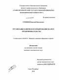 Соловов, Николай Николаевич. Организация банковского кредитования малого предпринимательства: дис. кандидат экономических наук: 08.00.10 - Финансы, денежное обращение и кредит. Санкт-Петербург. 2010. 142 с.