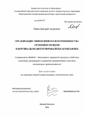 Шеин, Дмитрий Андреевич. Организация эффективного воспроизводства основных фондов в вертикально-интегрированных компаниях: дис. кандидат экономических наук: 08.00.05 - Экономика и управление народным хозяйством: теория управления экономическими системами; макроэкономика; экономика, организация и управление предприятиями, отраслями, комплексами; управление инновациями; региональная экономика; логистика; экономика труда. Нижний Новгород. 2008. 185 с.