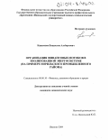 Капитонов, Владислав Альбертович. Организация финансовых потоков в изолированной энергосистеме: На примере Норильского промышленного района: дис. кандидат экономических наук: 08.00.10 - Финансы, денежное обращение и кредит. Иваново. 2004. 175 с.