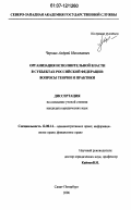 Черных, Андрей Николаевич. Организация исполнительной власти в субъектах Российской Федерации: вопросы теории и практики: дис. кандидат юридических наук: 12.00.14 - Административное право, финансовое право, информационное право. Санкт-Петербург. 2006. 204 с.