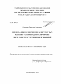 Синякова, Кристина Андреевна. Организация несовершенно конкурентных рынков в условиях дерегулирования деятельности естественных монополий: дис. кандидат экономических наук: 08.00.01 - Экономическая теория. Ростов-на-Дону. 2013. 205 с.