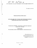 Вышинский, Виктор Николаевич. Организация ресурсного обеспечения целевых комплексных программ региона: дис. кандидат экономических наук: 08.00.05 - Экономика и управление народным хозяйством: теория управления экономическими системами; макроэкономика; экономика, организация и управление предприятиями, отраслями, комплексами; управление инновациями; региональная экономика; логистика; экономика труда. Ростов-на-Дону. 2001. 171 с.