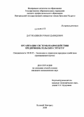 Датукашвили, Роман Давидович. Организация системы взаимодействия предпринимательских структур: дис. кандидат экономических наук: 08.00.05 - Экономика и управление народным хозяйством: теория управления экономическими системами; макроэкономика; экономика, организация и управление предприятиями, отраслями, комплексами; управление инновациями; региональная экономика; логистика; экономика труда. Великий Новгород. 2008. 158 с.