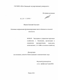 Иванов, Евгений Олегович. Основные направления функционирования малого бизнеса в сельской местности: дис. кандидат экономических наук: 08.00.05 - Экономика и управление народным хозяйством: теория управления экономическими системами; макроэкономика; экономика, организация и управление предприятиями, отраслями, комплексами; управление инновациями; региональная экономика; логистика; экономика труда. Курск. 2011. 208 с.