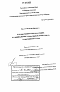 Павлов, Вячеслав Фролович. Основы технологии получения кальцийалюмосиликатных материалов из техногенного сырья: дис. доктор химических наук: 05.17.01 - Технология неорганических веществ. Красноярск. 2006. 265 с.