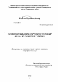 Норузи Мохаммадбагер. Особенности климатических условий Ирана и развития туризма: дис. кандидат географических наук: 25.00.24 - Экономическая, социальная и политическая география. Душанбе. 2012. 152 с.