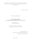 Попов Артем Романович. Осцилляции нейтрино в астрофизических магнитных полях и средах: дис. кандидат наук: 00.00.00 - Другие cпециальности. ФГБУН «Институт ядерных исследований Российской академии наук». 2024. 119 с.