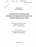 Зименков, Данила Вадимович. Открытая рамка считывания ybhE Escherichia coli кодирует ранее неизвестную 6-фосфоглюконолактоназу (Pgl): дис. кандидат биологических наук: 03.00.03 - Молекулярная биология. Москва. 2005. 107 с.