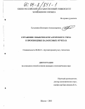 Кузьменко, Виктория Александровна. Отражение объектов бухгалтерского учета в производных балансовых отчетах: дис. кандидат экономических наук: 08.00.12 - Бухгалтерский учет, статистика. Шахты. 2003. 194 с.