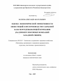 Волков, Александр Анатольевич. Оценка экономической эффективности инвестиций в воспроизводство сырьевой базы нефтедобывающей компании: на примере нефтяных компаний Западной Сибири: дис. кандидат экономических наук: 08.00.05 - Экономика и управление народным хозяйством: теория управления экономическими системами; макроэкономика; экономика, организация и управление предприятиями, отраслями, комплексами; управление инновациями; региональная экономика; логистика; экономика труда. Уфа. 2009. 183 с.