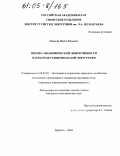 Иванова, Ирина Юрьевна. Оценка экономической эффективности вариантов развития малой энергетики: дис. кандидат экономических наук: 08.00.05 - Экономика и управление народным хозяйством: теория управления экономическими системами; макроэкономика; экономика, организация и управление предприятиями, отраслями, комплексами; управление инновациями; региональная экономика; логистика; экономика труда. Иркутск. 2004. 164 с.