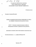 Вальвашов, Александр Николаевич. Оценка и развитие конкурентных преимуществ города: На примере городов Краснодарского края: дис. кандидат экономических наук: 08.00.05 - Экономика и управление народным хозяйством: теория управления экономическими системами; макроэкономика; экономика, организация и управление предприятиями, отраслями, комплексами; управление инновациями; региональная экономика; логистика; экономика труда. Краснодар. 2005. 248 с.