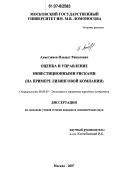 Ахметзянов, Ильшат Ришатович. Оценка и управление инвестиционными рисками: на примере лизинговой компании: дис. кандидат экономических наук: 08.00.05 - Экономика и управление народным хозяйством: теория управления экономическими системами; макроэкономика; экономика, организация и управление предприятиями, отраслями, комплексами; управление инновациями; региональная экономика; логистика; экономика труда. Москва. 2007. 159 с.