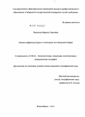 Чикинова, Марина Сергеевна. Оценка инфраструктурного потенциала юга Западной Сибири: дис. кандидат географических наук: 25.00.24 - Экономическая, социальная и политическая география. Новосибирск. 2010. 175 с.