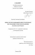 Крумгольц, Александр Рудольфович. Оценка рисков функционирования трубопроводов для управления сетями теплоснабжения: на примере города Кемерово: дис. кандидат технических наук: 05.13.10 - Управление в социальных и экономических системах. Кемерово. 2006. 137 с.