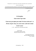 Тугбаева Анастасия Сергеевна. Ответные реакции растений Nicotiana tabacum L. и Zinnia elegans Jacq. на длительное действие ионов меди в среде: дис. кандидат наук: 00.00.00 - Другие cпециальности. ФГБУН Институт физиологии растений им. К.А. Тимирязева Российской академии наук. 2022. 150 с.