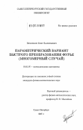 Просеков, Олег Валерьевич. Параметрический вариант быстрого преобразования Фурье: многомерный случай: дис. кандидат физико-математических наук: 01.01.07 - Вычислительная математика. Санкт-Петербург. 2007. 118 с.