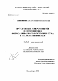 Никитина, Светлана Михайловна. Патогенные микромицеты и оптимизация фитосанитарного состояния лука в лесостепи Приобья: дис. кандидат биологических наук: 06.01.11 - Защита растений. Новосибирск. 2008. 164 с.