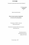 Цветков, Алексей Сергеевич. Пауки (Aranei) семейства Gnaphosidae юго-востока Русской равнины: дис. кандидат биологических наук: 03.00.08 - Зоология. Ростов-на-Дону. 2007. 190 с.