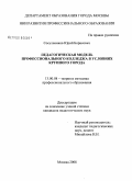 Сосульников, Юрий Борисович. Педагогическая модель профессионального колледжа в условиях крупного города: дис. кандидат педагогических наук: 13.00.08 - Теория и методика профессионального образования. Москва. 2008. 198 с.