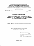 Байковский, Юрий Викторович. Педагогическая система обеспечения безопасности человека в экстремальных условиях горной среды: дис. доктор педагогических наук: 13.00.08 - Теория и методика профессионального образования. Москва. 2011. 413 с.