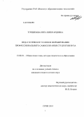 Тординава, Инга Кишвардовна. Педагогические условия формирования профессионального самосознания студентов вуза: дис. кандидат педагогических наук: 13.00.01 - Общая педагогика, история педагогики и образования. Сочи. 2010. 165 с.