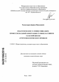 Холмогоров, Даниил Николаевич. Педагогические условия социально-профессиональной ориентации старшеклассников сельской школы агротехнологического профиля: дис. кандидат педагогических наук: 13.00.01 - Общая педагогика, история педагогики и образования. Чита. 2010. 215 с.