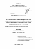 Шкитронов, Михаил Евгеньевич. Педагогические условия совершенствования подготовки инженеров пожарной безопасности в процессе изучения общепрофессиональных дисциплин в вузах ГПС МЧС России: дис. кандидат педагогических наук: 13.00.08 - Теория и методика профессионального образования. Санкт-Петербург. 2010. 208 с.