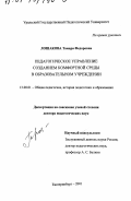 Лошакова, Тамара Федоровна. Педагогическое управление созданием комфортной среды в образовательном учреждении: дис. доктор педагогических наук: 13.00.01 - Общая педагогика, история педагогики и образования. Екатеринбург. 2001. 416 с.