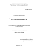 Шеленок Евгений Анатольевич. Периодические системы нелинейного управления в условиях неопределенности: дис. доктор наук: 00.00.00 - Другие cпециальности. ФГБОУ ВО «Тихоокеанский государственный университет». 2022. 458 с.