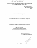 Разумовская, Наталия Андреевна. Планирование налогового аудита: дис. кандидат экономических наук: 08.00.12 - Бухгалтерский учет, статистика. Москва. 2005. 207 с.