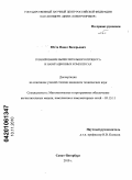 Юхта, Павел Валерьевич. Планирование вычислительного процесса в навигационных комплексах: дис. кандидат технических наук: 05.13.11 - Математическое и программное обеспечение вычислительных машин, комплексов и компьютерных сетей. Санкт-Петербург. 2010. 149 с.