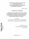 Садыкова, Вера Лукьяновна. Подготовка руководителей образовательных учреждений к разработке программно-целевых технологий управления в дополнительном профессиональном образовании: дис. кандидат педагогических наук: 13.00.08 - Теория и методика профессионального образования. Ставрополь. 2010. 180 с.