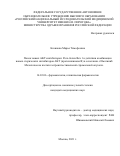 Козинова Марья Тимофеевна. Поиск новых AKT-ингибиторов: Роль белка Bex 1 в действии комбинации новых стерических ингибиторов AKT (протеинкиназы B) в сочетании с Иматиниб Мезилатом на клетки гастроинтестинальной стромальной опухоли.: дис. кандидат наук: 00.00.00 - Другие cпециальности. ФГАОУ ВО «Российский
национальный исследовательский медицинский университет имени Н.И. Пирогова» Министерства здравоохранения Российской Федерации. 2021. 139 с.