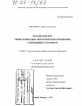 Романова, Клара Анатольевна. Послевузовское профессионально-экологическое образование руководящих работников: дис. доктор педагогических наук: 13.00.08 - Теория и методика профессионального образования. Нижний Новгород. 2004. 358 с.