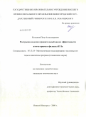 Колданов, Петр Александрович. Построение модели и сравнительный анализ эффективности итогов приема в филиалы ВУЗа: дис. кандидат технических наук: 05.13.18 - Математическое моделирование, численные методы и комплексы программ. Нижний Новгород. 2009. 230 с.